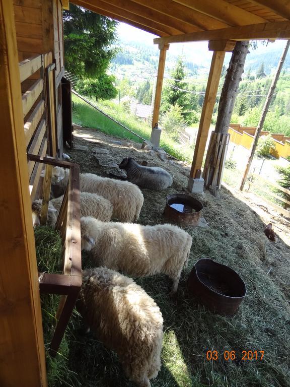 ホテル Alpenhof Pansion スラブスク エクステリア 写真
